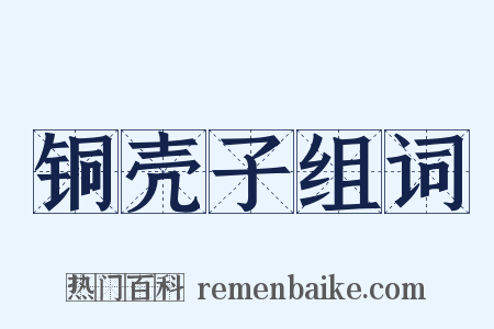 铜壳子组词是什么意思的图片